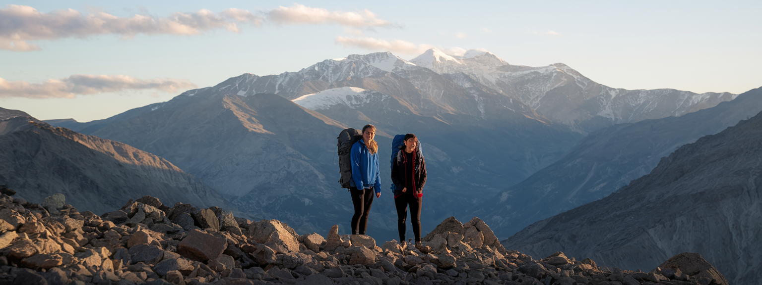 How to Choose the Perfect Travel Companion