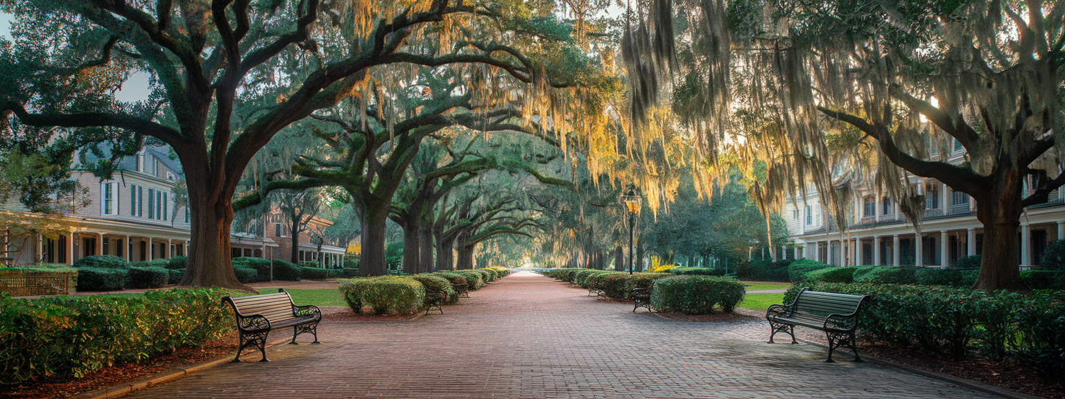 Wander Savannah Spanish Moss Trails and Historic Squares: The Complete Visitor’s Guide